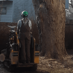 A professional arborist from Tree Frog Service LLC showing valid insurance documents to a homeowner