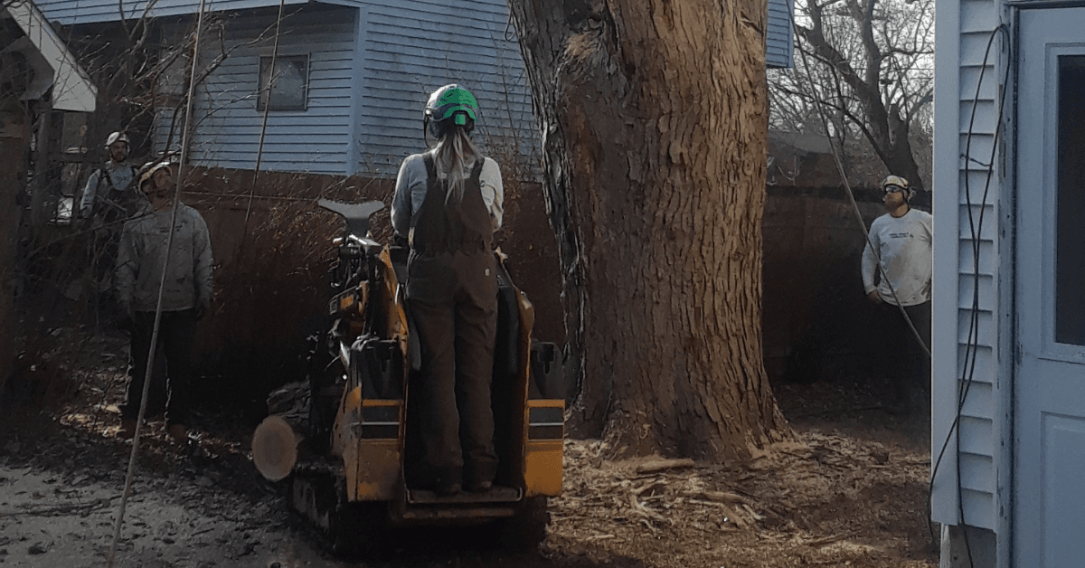 A professional arborist from Tree Frog Service LLC showing valid insurance documents to a homeowner