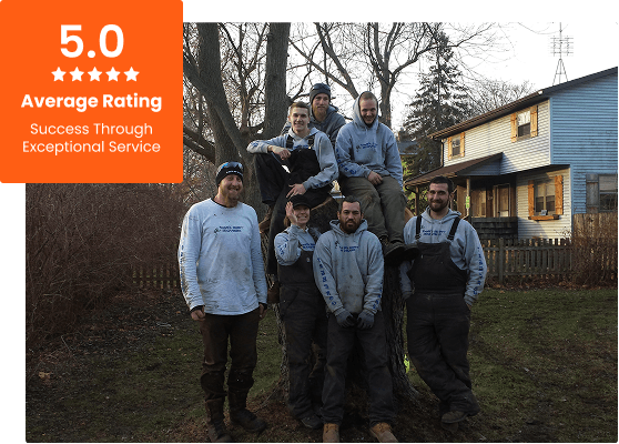 Commercial Tree Service