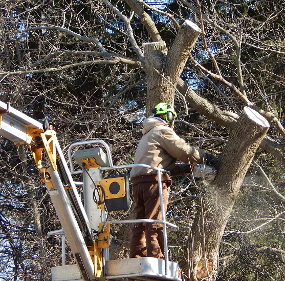 Professional Accreditations and Credentials