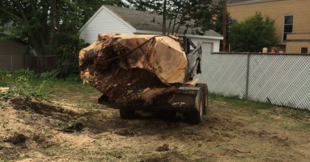 Stump Removal & Stump Grinding
