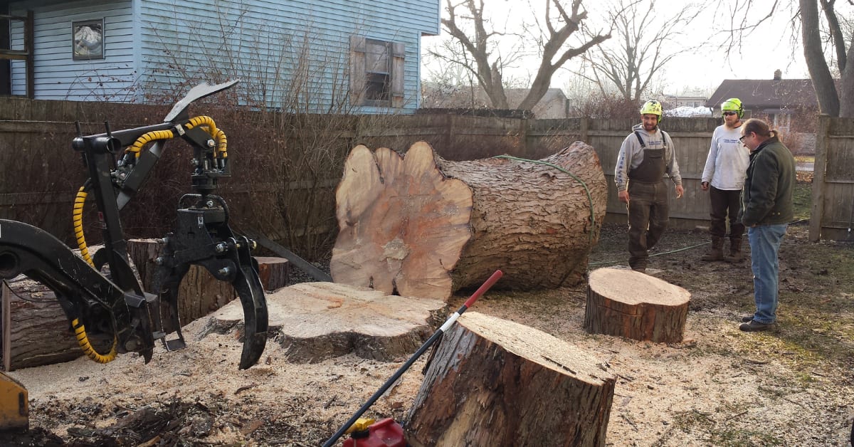 Tree Removal